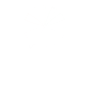 Splash Innovations logo and link to our wholesale umbrellas website